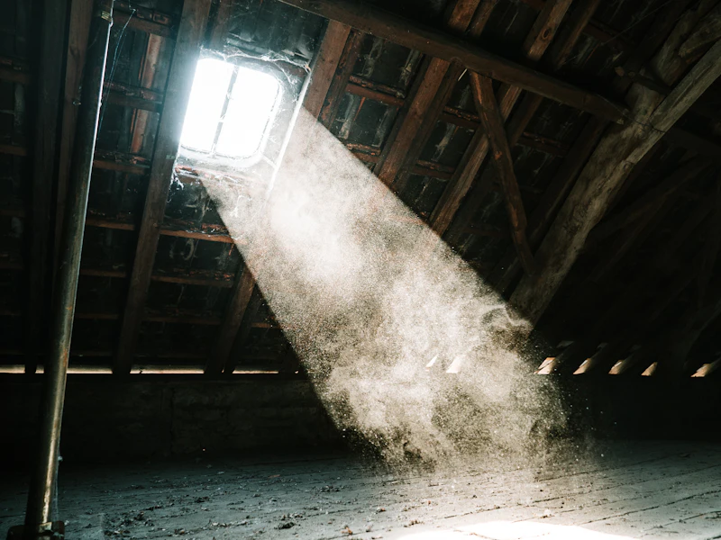 Daylight across attic rafters and roof decking &mdash; where heat loss and ventilation problems show first, representative