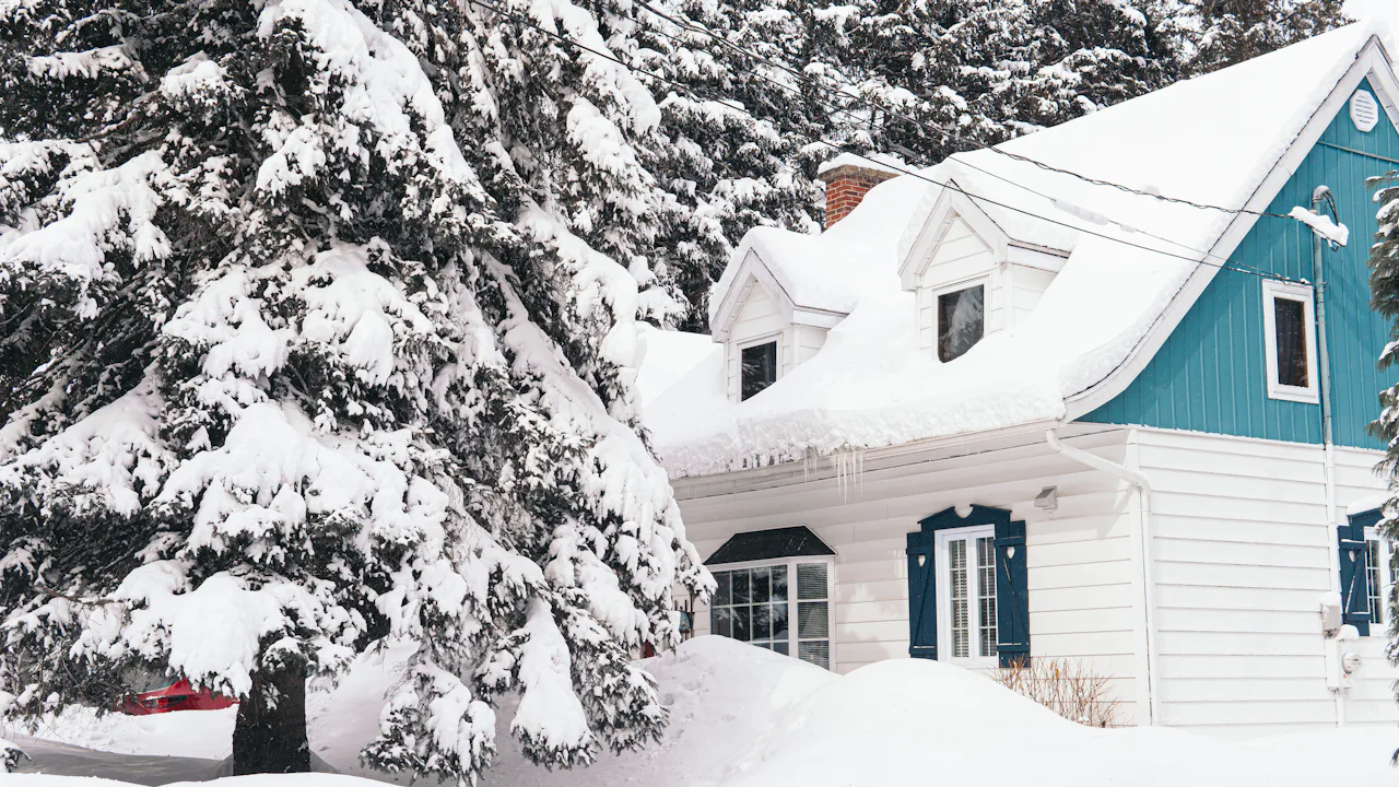 Blue two-story house with snow-loaded roof behind drifted snow and a snow-covered spruce