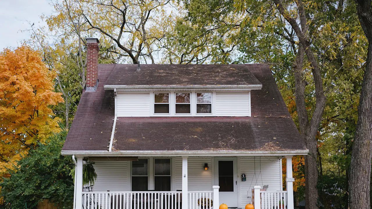 Craftsman bungalow with brown asphalt shingle roof and brick chimney under autumn trees — representative