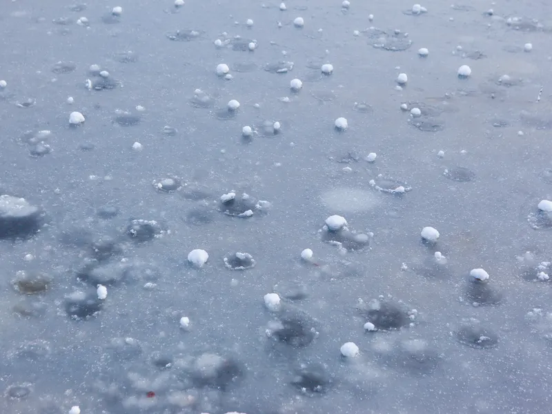 Hailstones pooled on an icy surface after a heavy burst of hail and rain