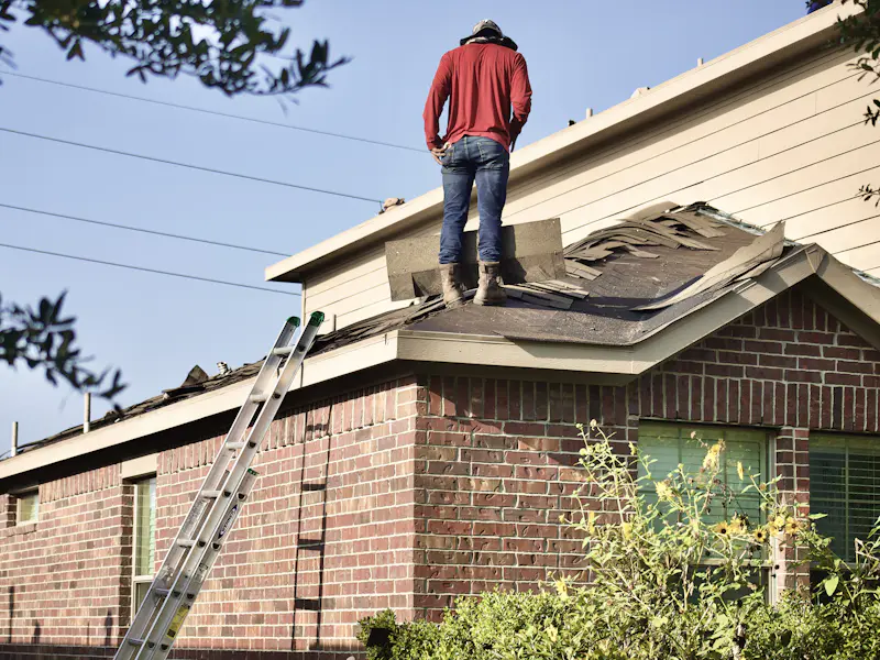 Inspection of wind-damaged shingles on a brick home's roof — representative